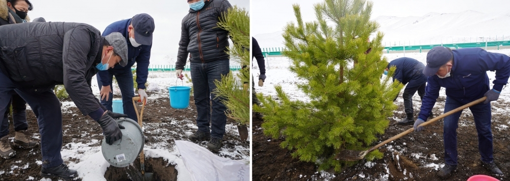 EMPLOYEES OF ROAD AND TRANSPORT SECTOR PLANTED 1686 TREES ALONG THE AIRPORT HIGHWAY